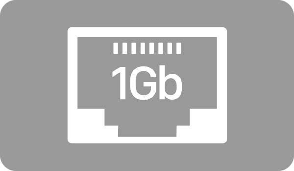 1Gb