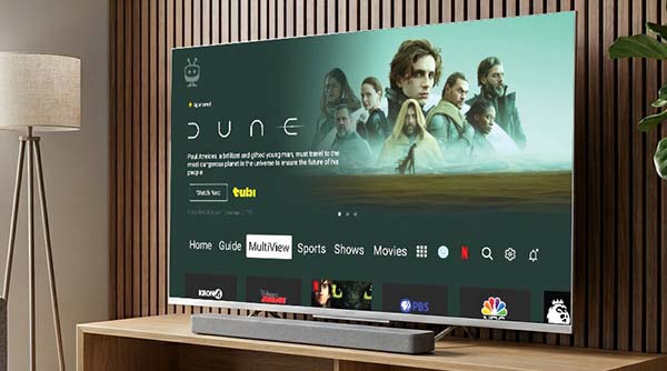 TiVo Experience